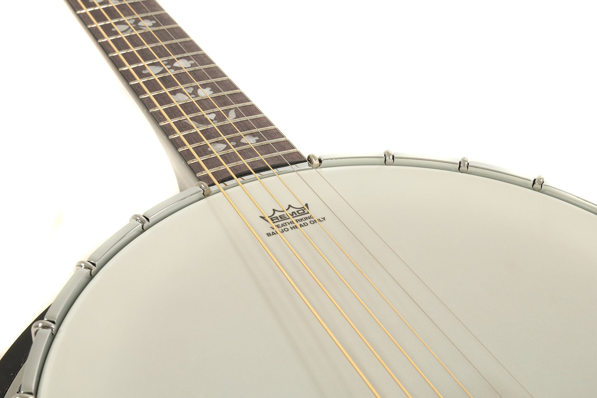 VGS Banjo Premium 6-string
